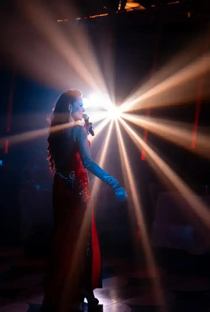 famous singer for private party