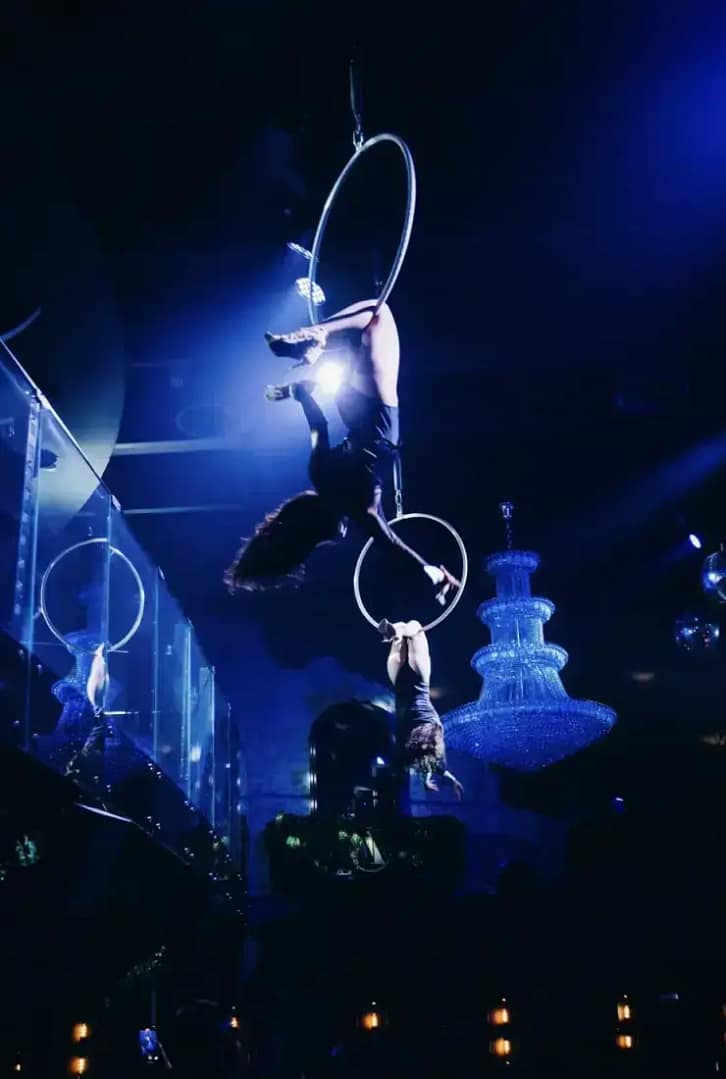 Aerialists for private event