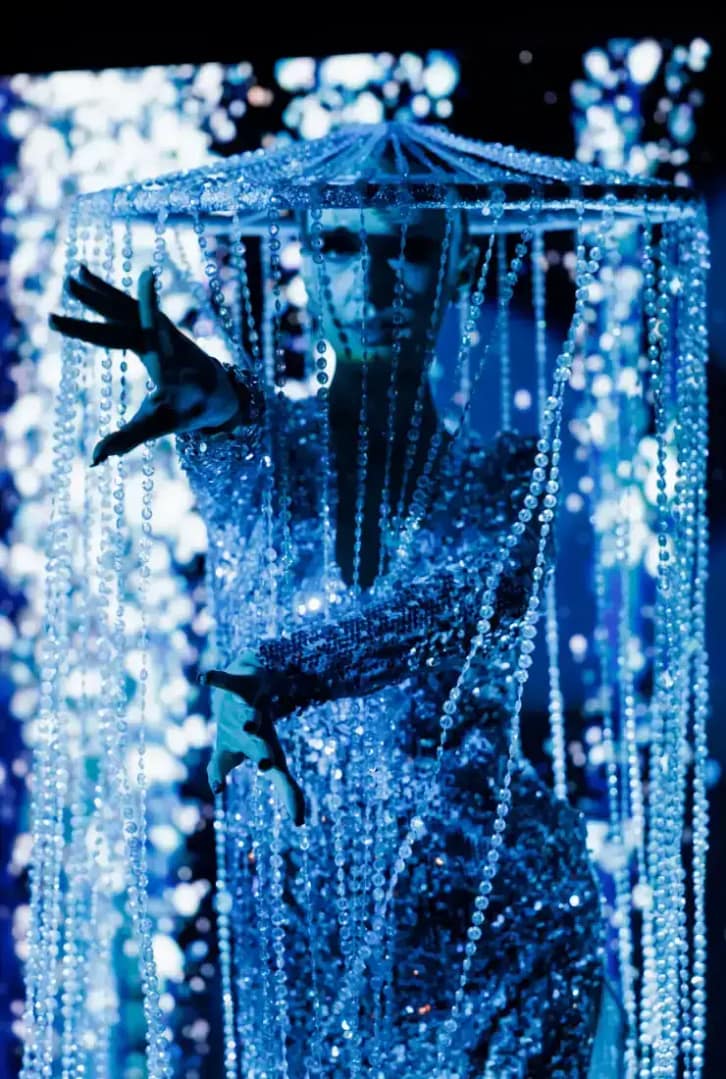 immersive entertainment for private party