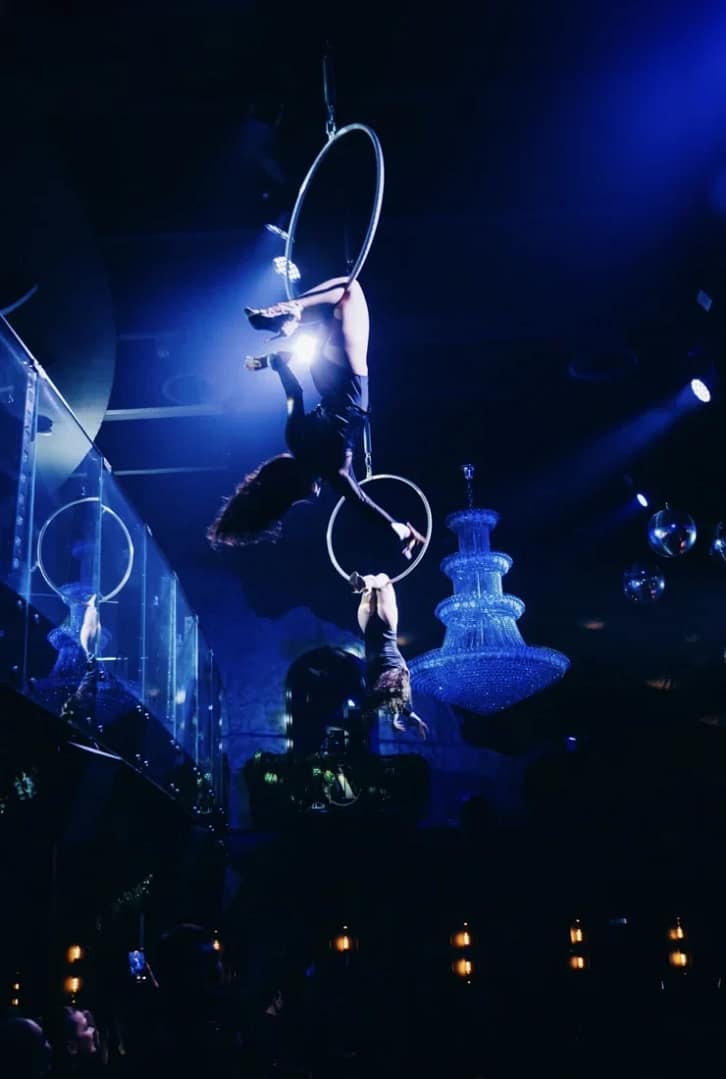 Acrobatic & Aerial Acts for Birthday Entertainment from EFT Entertainment Group